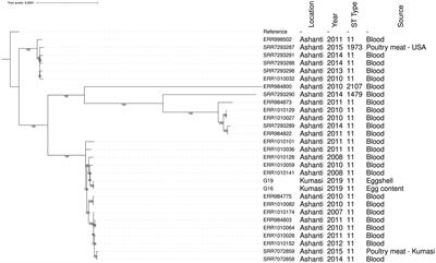 Prevalence and genomic characterization of Salmonella isolates from commercial chicken eggs retailed in traditional markets in Ghana
